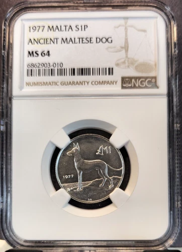 1977 MALTA SILVER 1 POUND ANCIENT MALTESE DOG NGC MS 64 RARE NICE LUSTER BU
