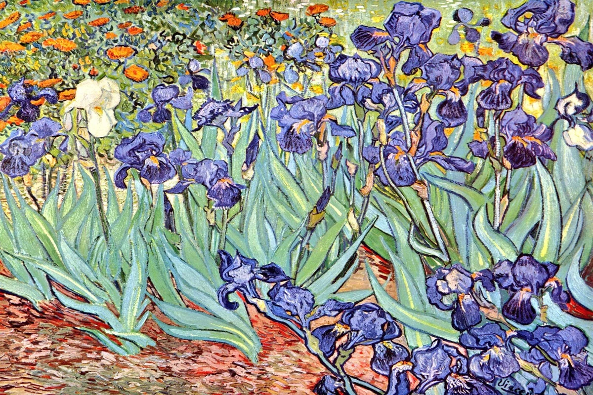 Vincent van Gogh, Irises