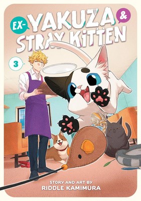 Ex-Yakuza and Stray Kitten Vol. 3 Riddle Kamimura Taschenbuch Englisch 2023
