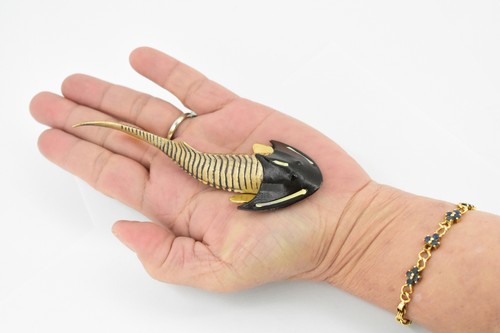 Cephaiaspis, wymarła ryba pancerna malowana, realistyczna zabawka model 5" CH175 BB113 - Zdjęcie 2 z 7