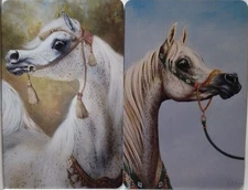Swap cards Modern playing card back Beautiful Speckled Arabian Horses