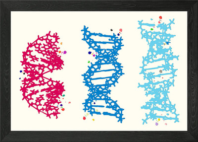 Gerahmtes Wandbild DNA Molekül Poster Leinwanddruck Bild