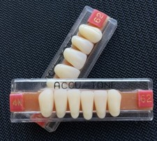 Denture Sets Acrylic False Teeth Anterior Lower-Upper Shade A2/62 -4N box 12 pcs