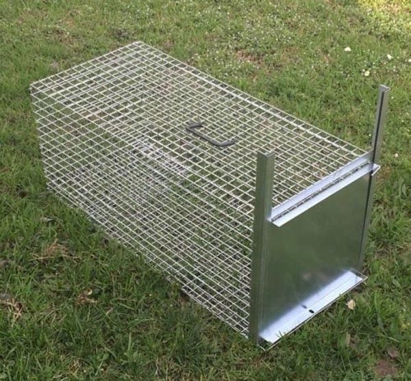 Gabbia Trappola per Nutrie e Gatti Selvatici - 82x36x36 cm Extra Forte