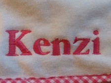 Pottery Barn Kids Hooded Nursery Towel Monogrammed KENZI Pink Check Trim New