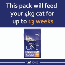 PURINA ONE Chicken Dry Cat Food 6Kg 6.16 per kilo