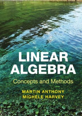 Michele Harvey - Lineare Algebra Konzepte und Methoden - Neues Taschenbuch - J555z