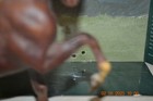 Bild 9 von 15