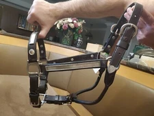 CHAMPION TURF, LOS ANGELES, BROWN LEATHER & SILVER SHOW HORSE HALTER, USED