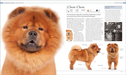 The Dog Encyclopedia: the Definitive Visual Guide - Picture 6 of 12