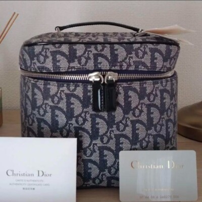 Christian Dior Iconic Trotter Monogram Vanity Case oblique Makeup
