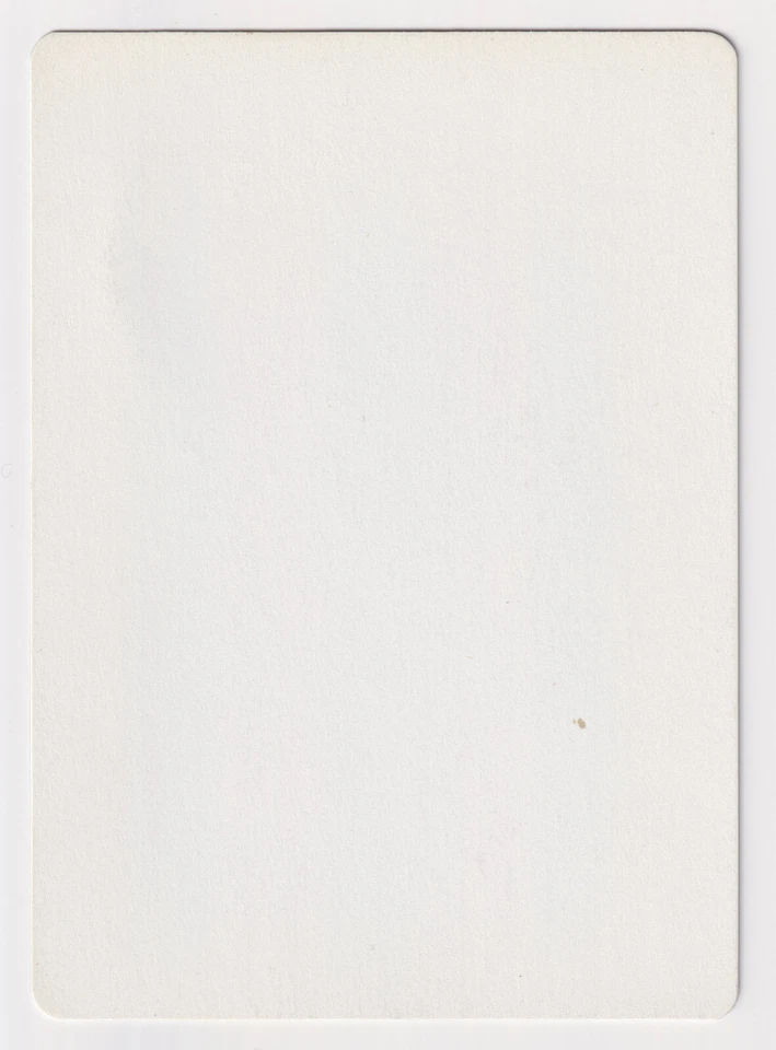 Signed Portuguese Melting Proof LP Ice Age Artist Randy Gallegos MTG Magic AP! - Image 2 of 2