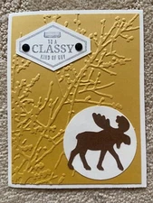 Truly tailored friend cheer birthday moose card kit of 6 made w/ Stampin' Up!