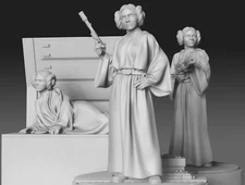 Star Wars Legion Leia Organa EXPANSION Proxy Models 3d Printed