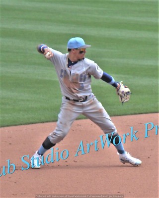 Javi Javier Baez DETROIT TIGERS Chicago Cubs Action Orig Var Sizes NLCS CoMVP 