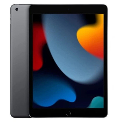 Apple iPad 10.2in 64GB Wi Fi Tablet, Gray, Touchscreen, Apple iPad Series