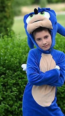 Sonic the Hedgehog Costume for a Fun Party