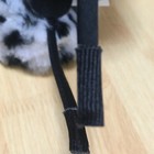 Picture 6 of 8