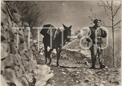 ALPINO COL MULO - LA MASSEIA DI NOUS ALPIN... 1950