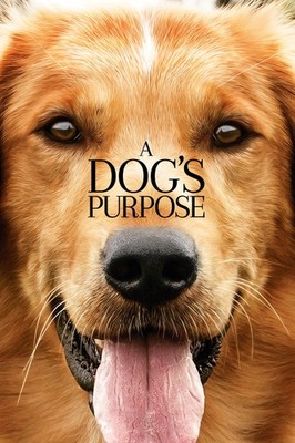 A Dogs Purpose (DVD, 2017)  **DISC ONLY - NO CASE**