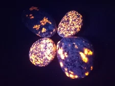 Yooperlite collection - 4 BRIGHT Lake Superior stones w/ UV fluorescent Sodalite