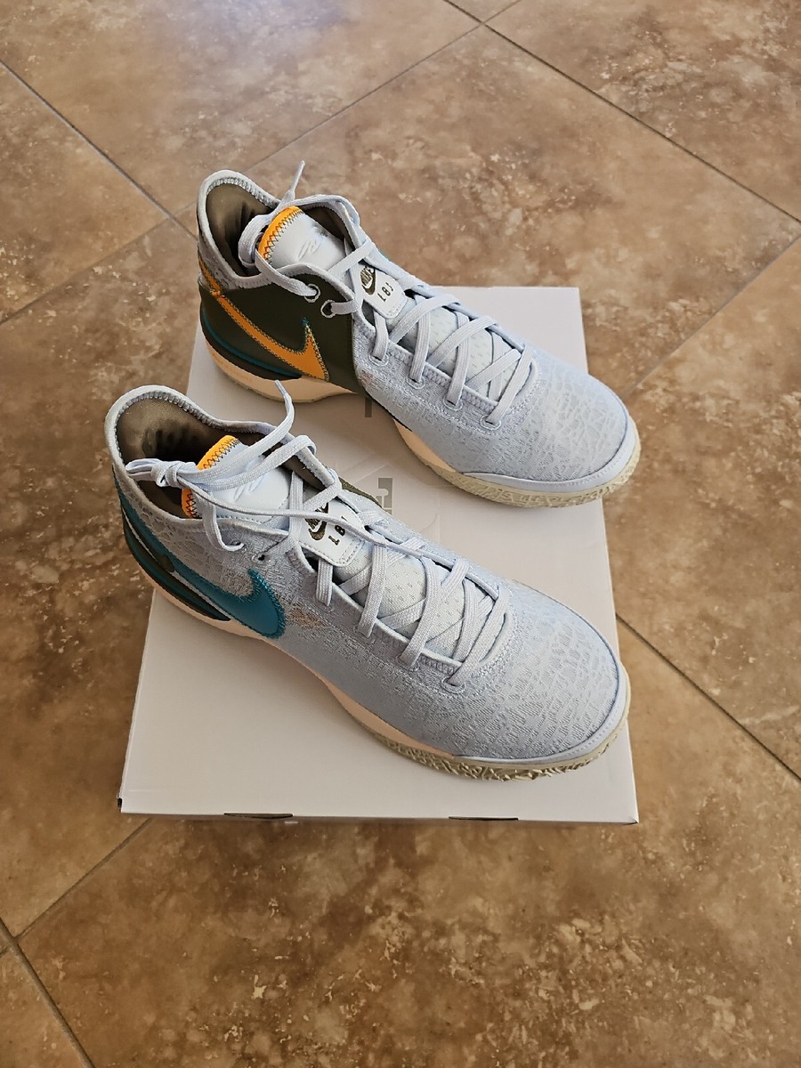 Size 13.5 - Nike Zoom LeBron NXXT Gen Blue Tint for sale online | eBay