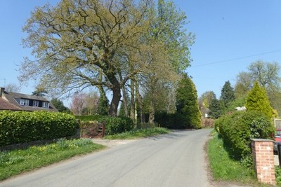 Photo 6x4 Cat Lane near Back Lane Bilbrough Looking along Cat Lane on the c2017