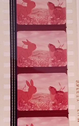 35mm Feature Film – Watership Down 1978 - Foto 6 di 11