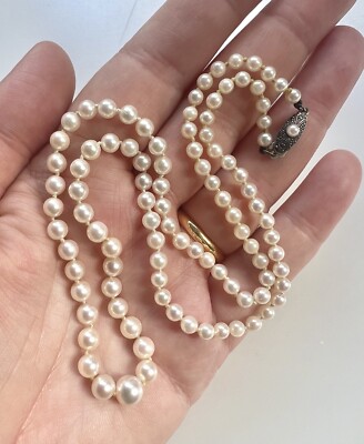Mikimoto Rare Vintage Saltwater Sea Water Akoya Pearl Classic Necklace 