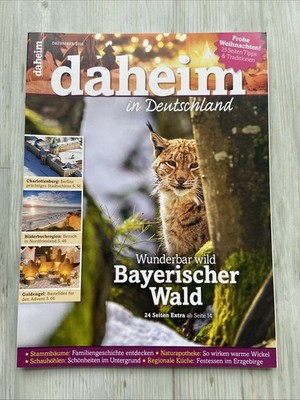 daheim In Deutschland Bayrischer Wald Dezember 2016
