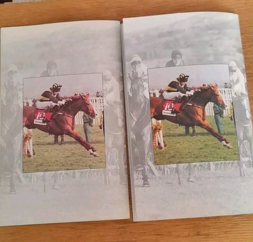 CHELTENHAM RACE CARDS THE 1997 OCTOBER MEETING - OCTOBER 28TH & 29TH - Picture 18 of 18