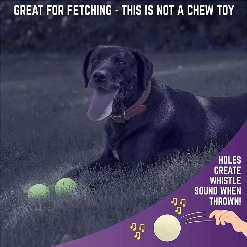 Glow In The Dark Ball Light Night Play Fetch For Dogs Fit In Medium Chuckit 2 件 — 第 3/4 张图片