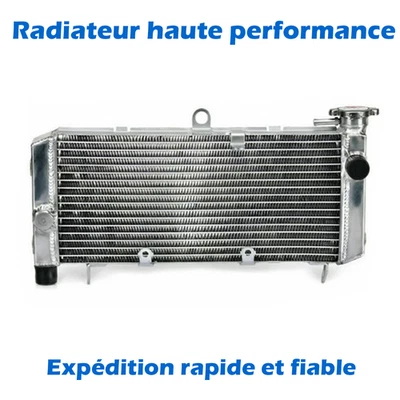 Radiateur Aluminum pr HONDA CB 600F Refroidissement de l'eau CB600F Hornet 98-06 - Photo 1/4