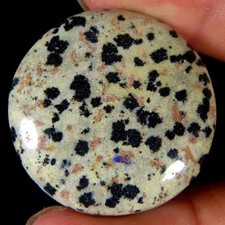 34.40Cts 100 Natural Gorgeous Dalmatian Jasper Round Cab 29x29x4mm Top Gemstone