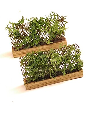 Spur N Bio Kleingarten Gartenlandschaft einreihig Hochpflanzgefäße Laub