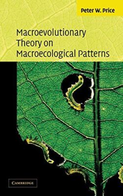 Macroevolutionary Theory on Macroecological Patterns (Hardcover)