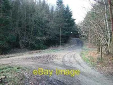 Photo 6x4 Track Junction in Redlands Wood Mid Holmwood  c2007