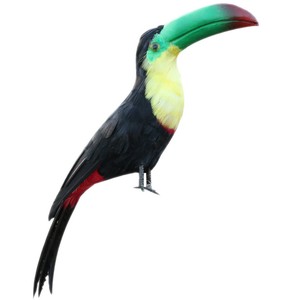 Artificial-Craft-Bird-Feathered-Birds-Realistic-Taxidermy-Home-Ornaments-8