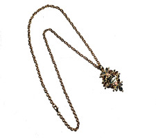 Collana Fantasma Infestato, L'Antico Fantasma Ram Inn!