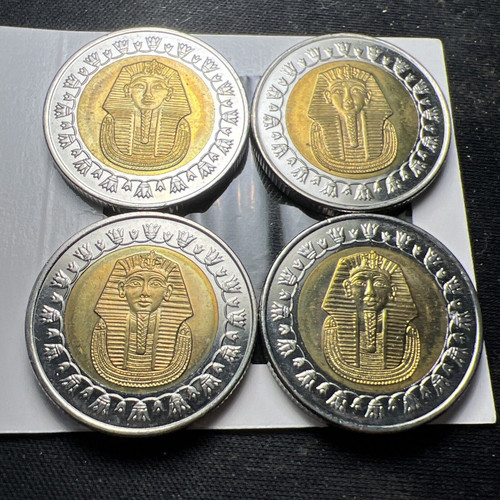 2008 Egypt 1 Pound King Tut Bi-metal (randomly Picked From 4 Pictured) X2112 - Picture 1 of 8