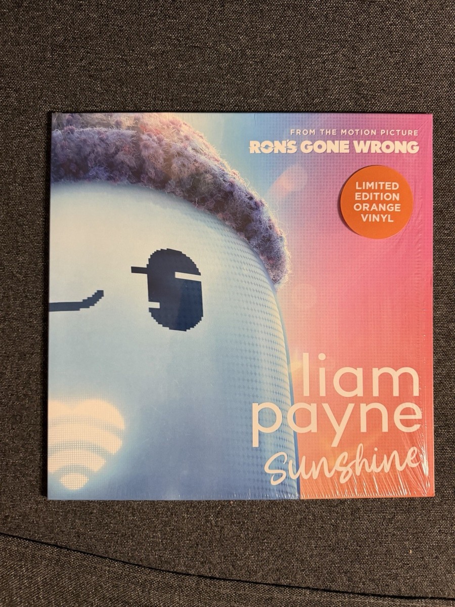Liam Payne Signed Sunshine Vinyl Insert and Record | eBay