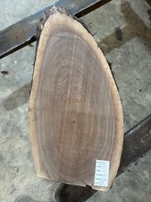 Black Walnut Cookie Slab 2491, live edge slab, unfinished, free shipping
