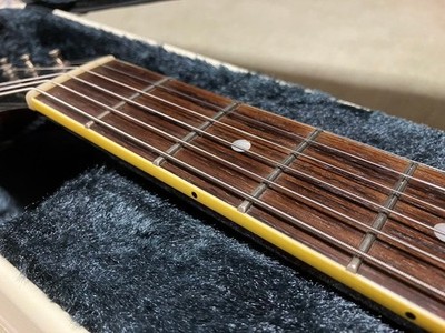 KING SNAKE Curtis /Brass Bridge Saddle | eBay