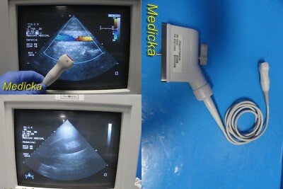 Philips S8 P/N 453561270642 Sector Array Ultrasound Transducer Probe ~ 21113