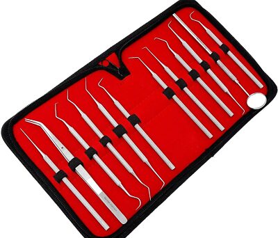 Set of 12 Stainless Steel Single&Double Ended Probe Set Combo, 5.5''- 6'' Length