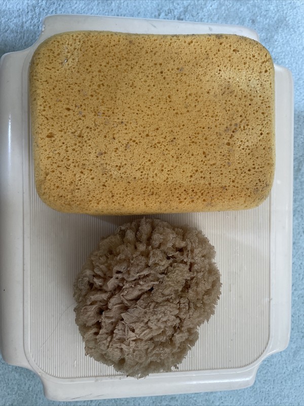 Large Sponges 5.5” X 7.5” Plus Smaller Sponge Purchased In Tarpon Springs, FL
