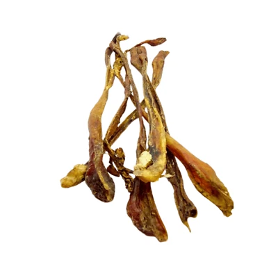 HAUSTIER-SCHLARAFFENLAND Straußen-Sehnen, kurz - hypoallergene Kauartikel - Hunde-Kausnacks - Leckerli