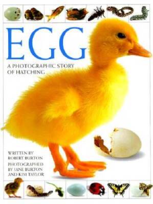 Egg - Hardcover By Burton, Robert - GOOD