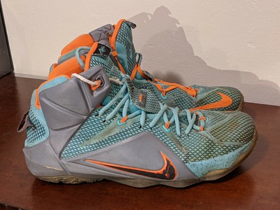 nike james lebron 12 nsrl
