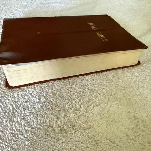 Santa Biblia Nueva Traducción Viviente Edición Regalo y Premio Granate - Imagen 4 de 11